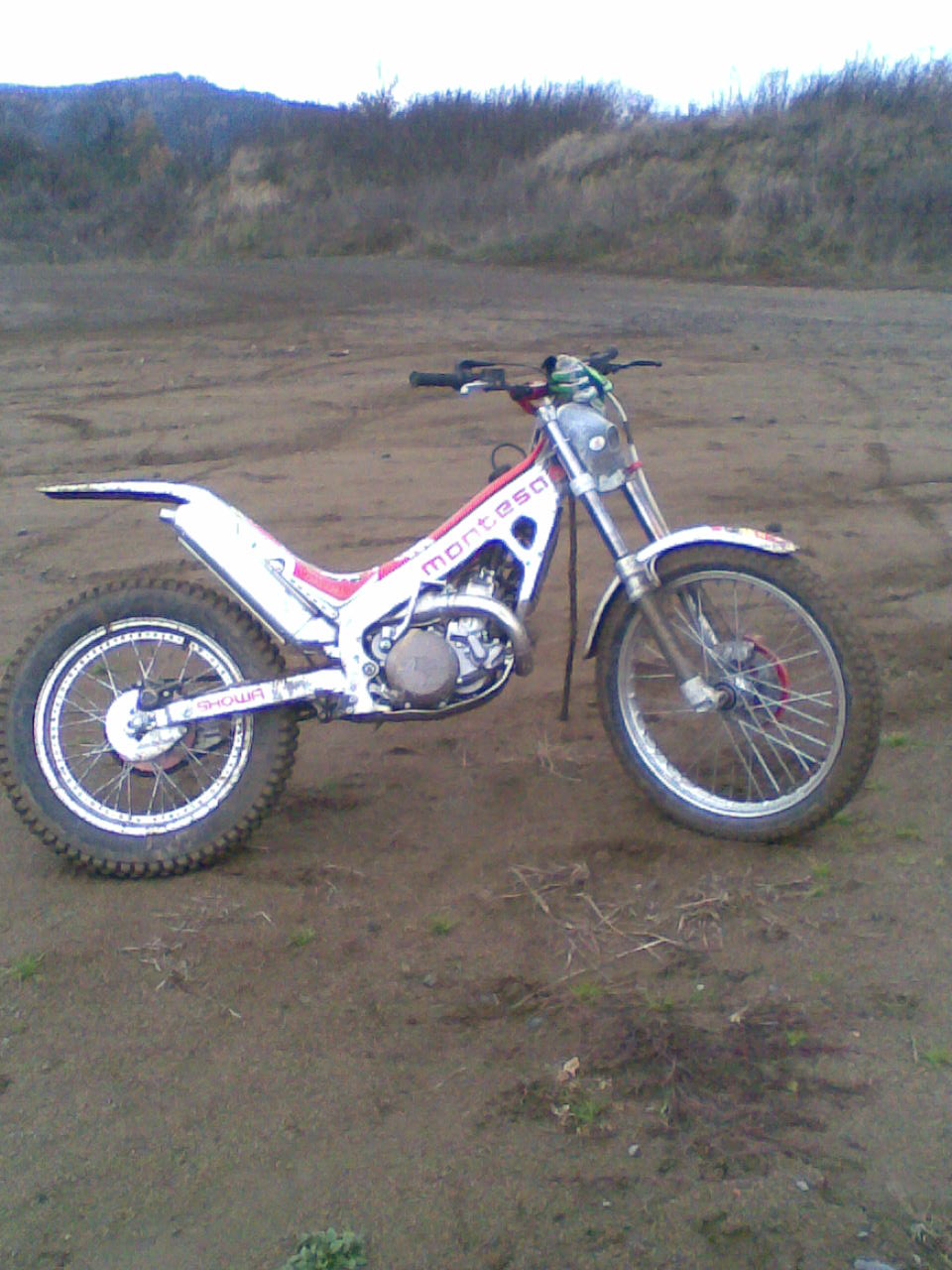 Obraz006.jpg